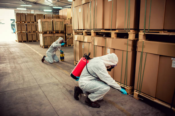 Best Pest Inspection Near Me  in Fallsburg, NY