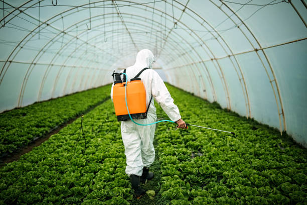 Best Pest Prevention Services  in Fallsburg, NY