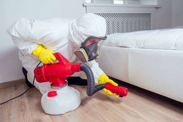 Best Local Pest Control Services  in Fallsburg, NY