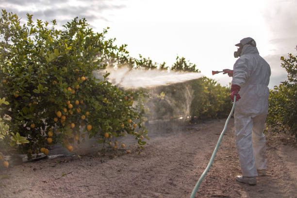 Professional Pest Control in Fallsburg, NY