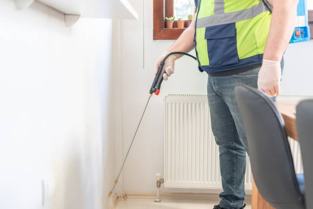 Best Wasp Removal Services  in Fallsburg, NY