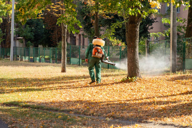 Best Commercial Pest Control Services  in Fallsburg, NY