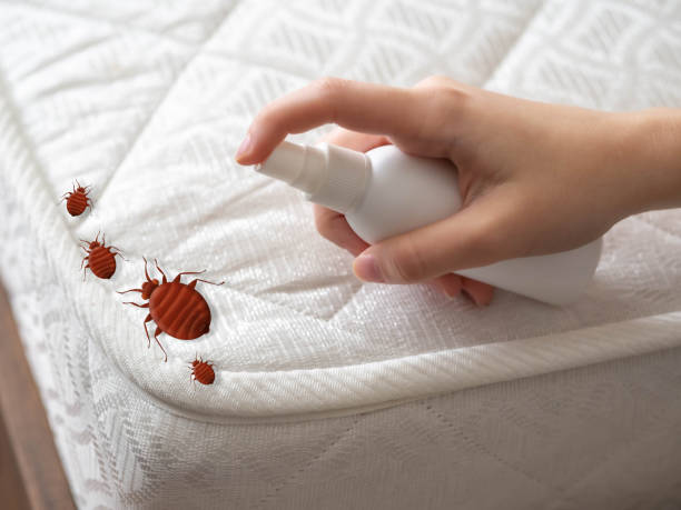 Best Affordable Pest Control Services  in Fallsburg, NY